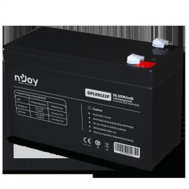 Acumulator njoy gpl09122f 12v 30.55w/cell  capacitate 30.55w/cell evaluat la...
