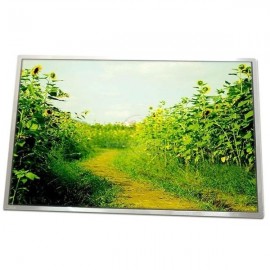 Display laptop 17" Inch