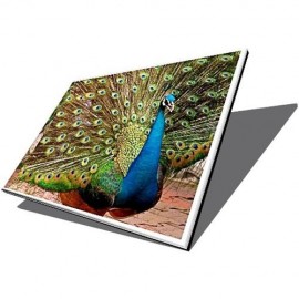 Display laptop 13.3" Inch