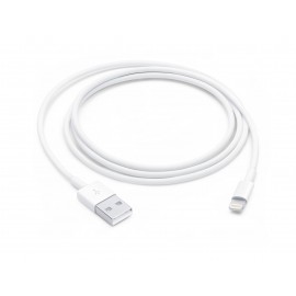 Apple lightning to usb cable (1 m)