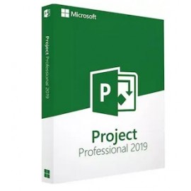 Licenta retail microsoft project standard 2021 electronic software download all